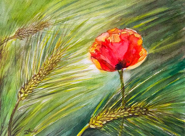 DOREEN FIEDLER - AQUARELLKUNST