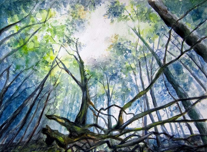 DOREEN FIEDLER - AQUARELLKUNST