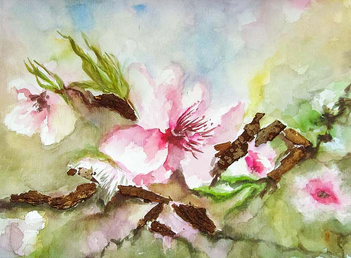 DOREEN FIEDLER - AQUARELLKUNST